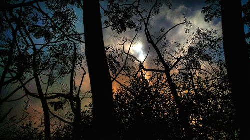 Low angle view of silhouette trees against sky at sunset