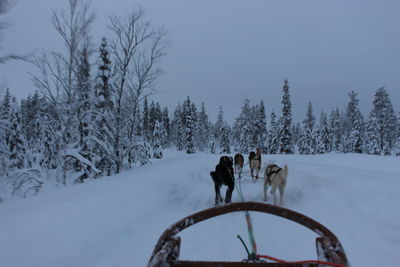 People with dog on snow covered field