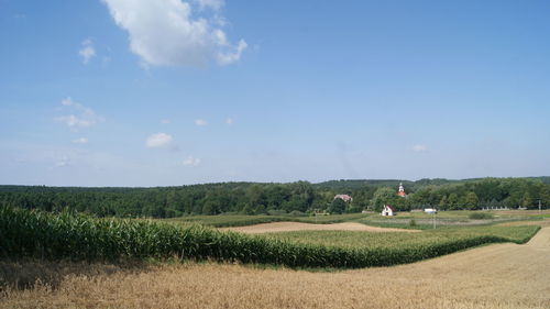 Scenic view of agricultural field against sky