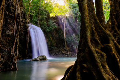 Scenic view of waterfall in forest