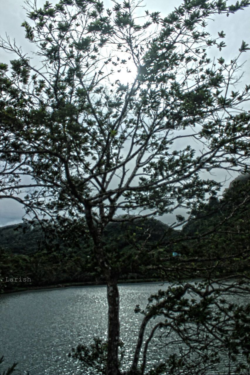 tree, branch, water, bare tree, tranquility, lake, tranquil scene, nature, beauty in nature, river, sky, scenics, growth, tree trunk, reflection, day, lakeshore, outdoors, no people, waterfront