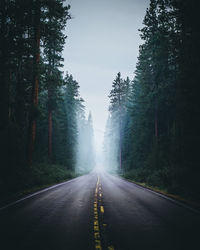 Road amidst trees in forest against sky