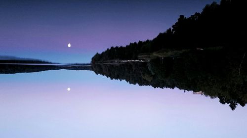 Reflection of trees in water