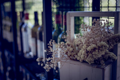 Close-up of flower vase