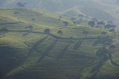 High angle view of field