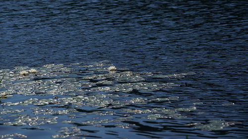 Full frame shot of rippled water