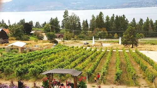 High angle view of houses on landscape
