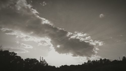 Low angle view of silhouette trees against sky