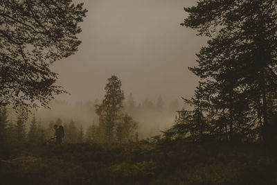 Silhouette of man in forest