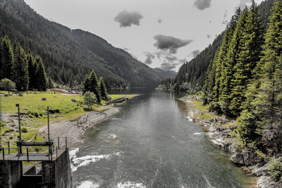 Scenic view of lake amidst trees against sky