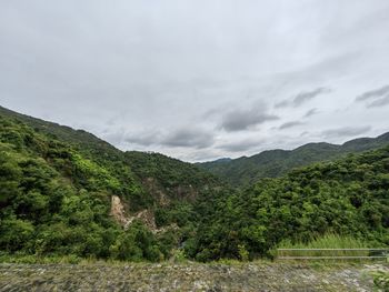 environment