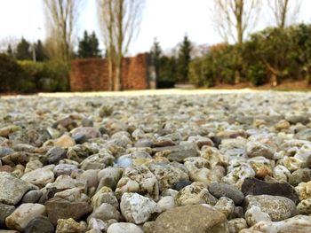 Surface level of pebbles