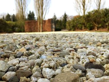 Close-up of rocks on field