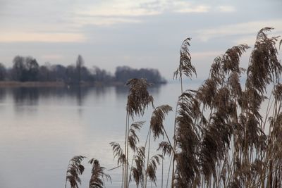 Scenic view of lake against sky during sunset