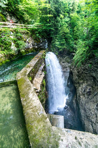 Scenic view of waterfall in forest