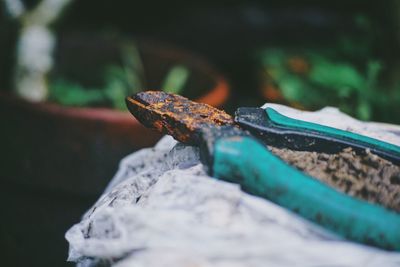 Close-up of rusty pliers