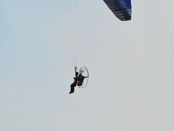 Low angle view of kite against clear sky