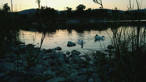 Scenic view of lake against sky