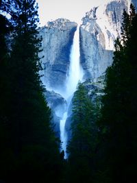 Low angle view of waterfall in forest