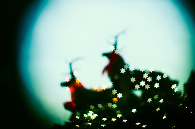 Close-up of flowering plant against sky