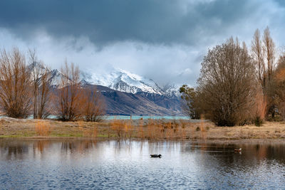 Scenic view of lake against sky. scenic morning view of lake pukaki east bank