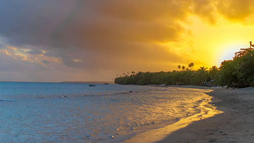 Scenic view of sea at sunset