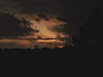 Silhouette trees against sky during sunset