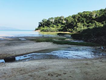 Scenic view of sea against clear sky
