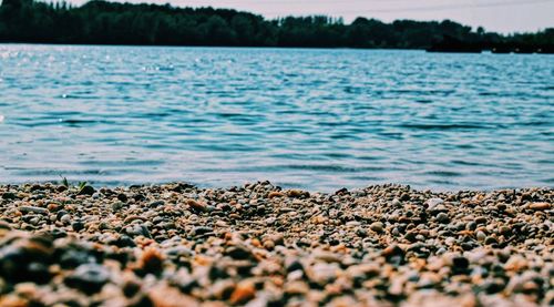 Close-up of pebbles on beach