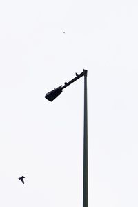 Low angle view of silhouette bird flying against clear sky