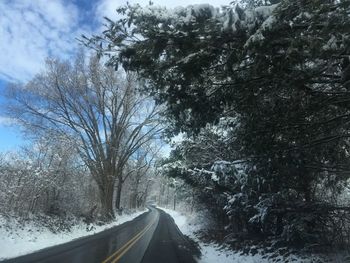 Road amidst trees against sky