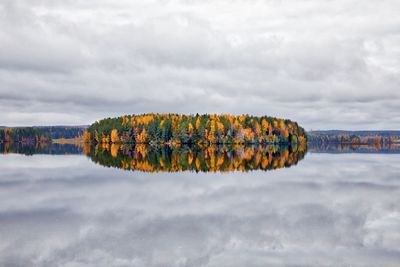 Scenic view of autumn trees against sky