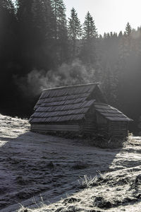Scenic view of frozen lake in forest