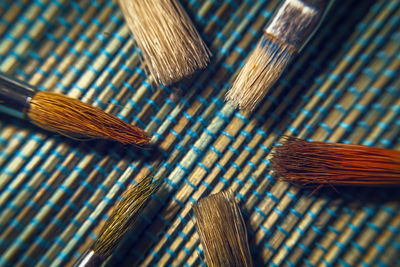 Close-up view of leaf