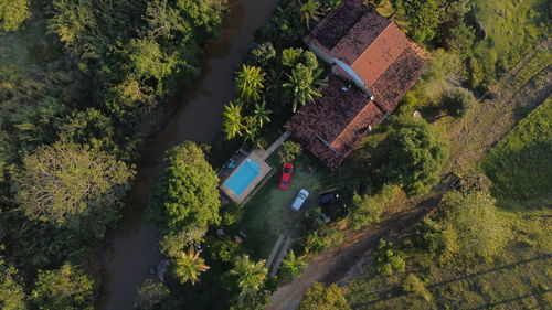 High angle view of trees by road