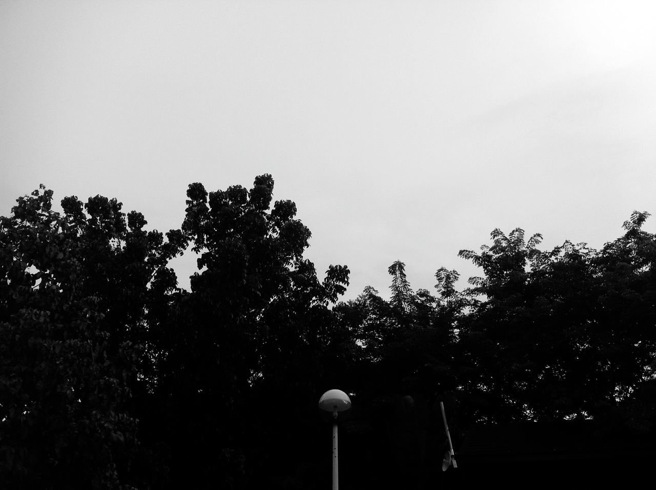 LOW ANGLE VIEW OF BALLOONS AGAINST CLEAR SKY