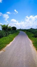 Road in the countryside with blue sky and white clouds
