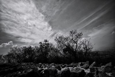 Bare trees on landscape against sky during winter