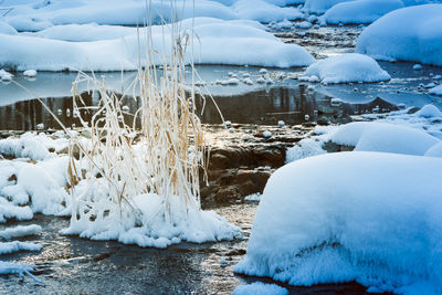 Surface level of frozen lake