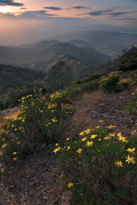 Scenic view of landscape against sky during sunset