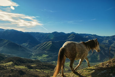 View of a horse on landscape against mountain range