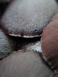 Close-up of hand holding ice cream