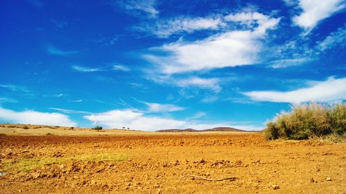 Scenic view of landscape against cloudy sky