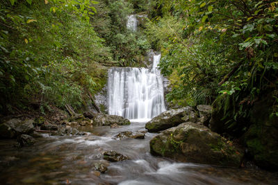 Waterfall in forest