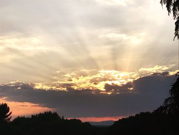 Low angle view of silhouette trees against sky during sunset