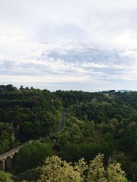 High angle view of trees and plants against sky