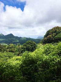 Scenic view of landscape against cloudy sky