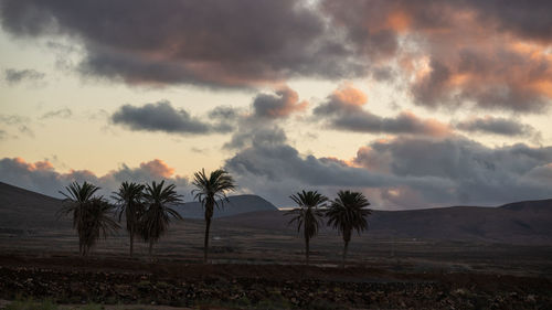 Scenic view of field against sky during sunset