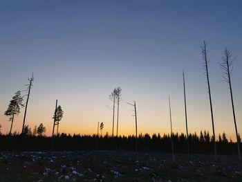 Silhouette trees on field against clear sky during sunset