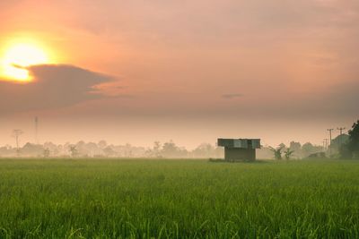 Scenic view of field against sky during sunset